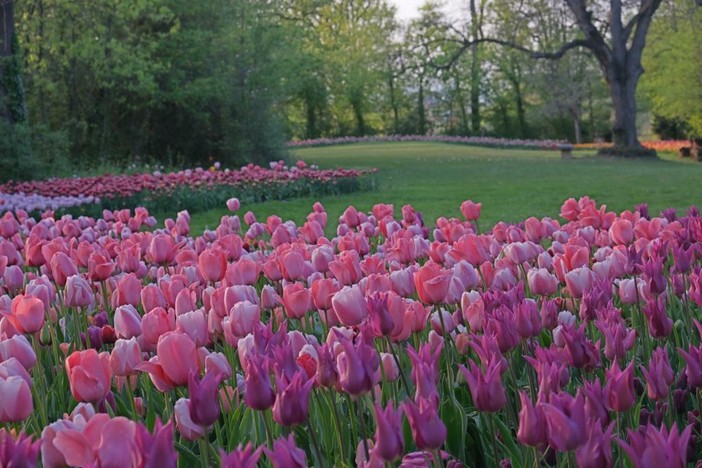 Rivoli celebra il Festival del Verde 2026: tra benessere a Villa Melano e biodiversità sulla Collina Morenica