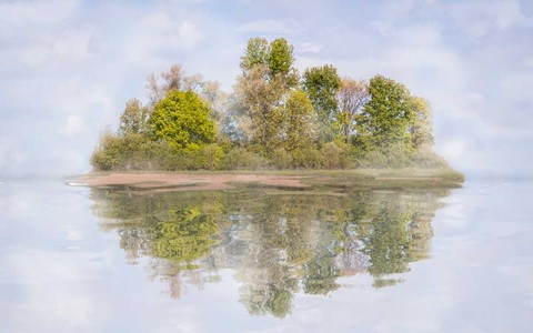 “Metamorphoseon”, alla Casa del Conte Verde un viaggio tra arte e natura