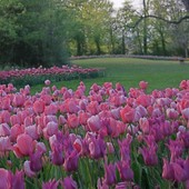 Rivoli celebra il Festival del Verde 2026: tra benessere a Villa Melano e biodiversità sulla Collina Morenica