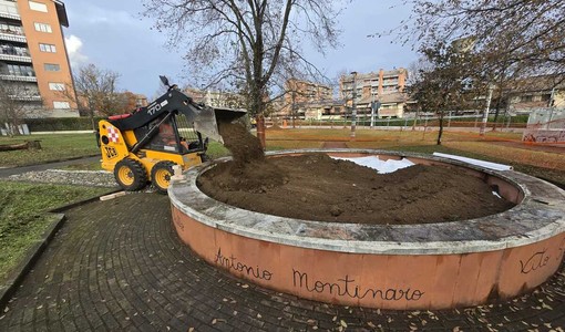Un melograno in ricordo dei femminicidi al parco Falcone e Borsellino di Collegno Un melograno in ricordo dei femminicidi al parco Falcone e Borsellino di Collegno