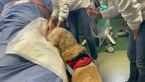 Come la pet therapy può aiutare i pazienti dell'ospedale di Rivoli