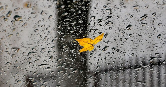 Torna il maltempo, nella serata di oggi. Poi migliora