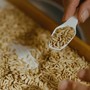 Crisi del riso, Confcooperative Piemonte: “Risaie asciutte, prezzi dimezzati e costi insostenibili. Il settore è al collasso"
