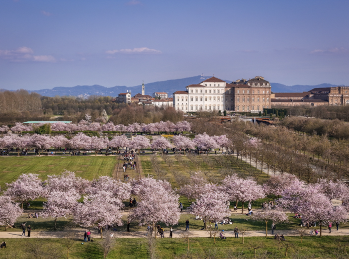 Foto di Michele d'Ottavio Foto di Michele d'Ottavio