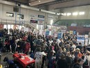 Appuntamento sabato 8 novembre al Palazzetto dello Sport