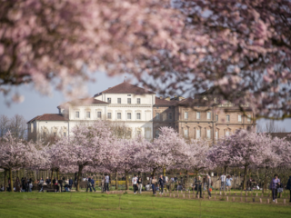 Foto di Michele d'Ottavio Foto di Michele d'Ottavio