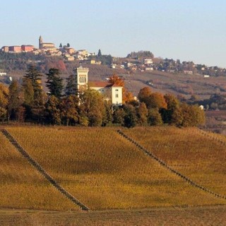 Immagine di repertorio