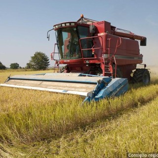 Piano per la qualità dell'aria: &quot;In assenza di modifiche  a rischio il settore agricolo&quot;