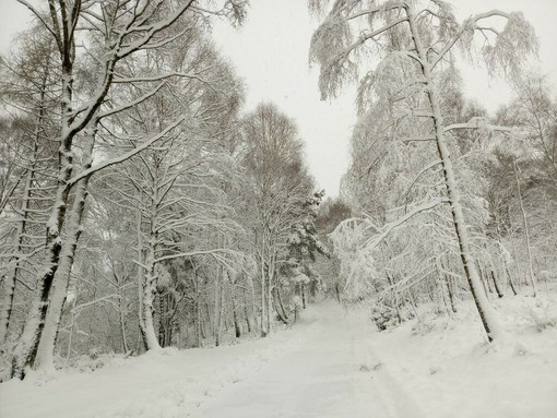 Meteo: continua il freddo e vento sulle pianure, neve sulle Alpi Meteo: continua il freddo e vento sulle pianure, neve sulle Alpi