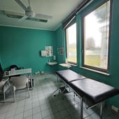 Immagine di repertorio