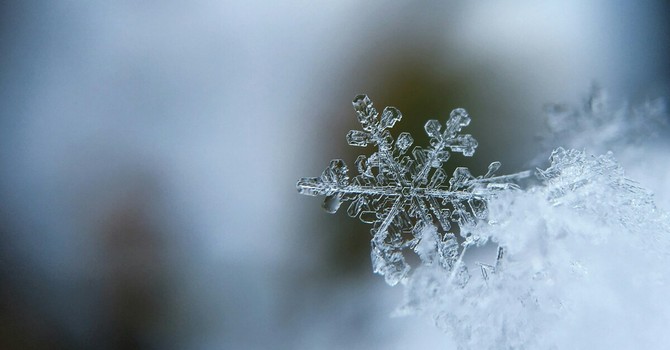 Foto di Aaron Burden - tramite Unsplash Foto di Aaron Burden - tramite Unsplash