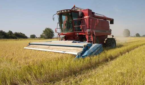 Piano per la qualità dell'aria: &quot;In assenza di modifiche  a rischio il settore agricolo&quot;