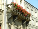 Il mio giardino biodiverso: parte il concorso di Legambiente per fotografare la natura urbana