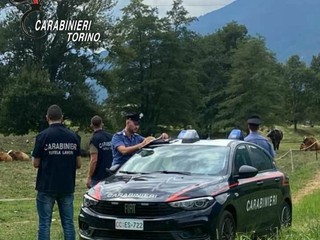 Controlli da parte dei carabinieri a Torino e provincia