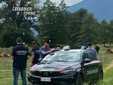 Controlli da parte dei carabinieri a Torino e provincia