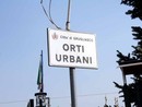 Orti urbani, nuovo bando a Grugliasco: c'è tempo fino al 21 febbraio