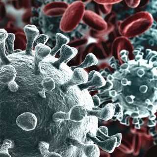 Coronavirus, altri 84 decessi nella giornata di oggi in Piemonte, ma calano ancora i ricoveri
