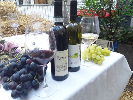 Diverse le proposte di Coldiretti presentate a Palazzo Chigi per sostenere il comparto