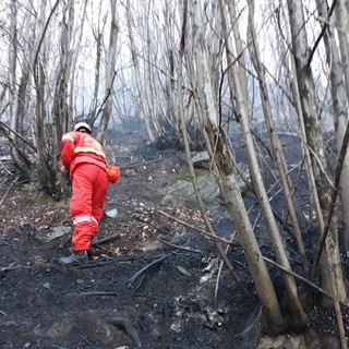 Incendi, la Regione revoca lo stato di massima pericolosità per i boschi piemontesi
