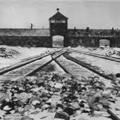 Grugliasco, Promemoria Auschwitz: al via le iscrizioni Grugliasco, Promemoria Auschwitz: al via le iscrizioni