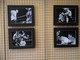 Grugliasco, “La boxe nell’espressione di un volto”: la mostra di Franco Di Fiore ospitata nello spazio espositivo del Comune [FOTO]