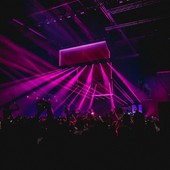 Cosa si fa in un night club durante una serata?