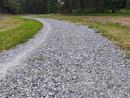 In Piemonte 8 milioni per tutelare la biodiversità naturale: interventi a Chivasso e Rivoli In Piemonte 8 milioni per tutelare la biodiversità naturale: interventi a Chivasso e Rivoli