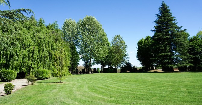 A Pianezza torna "Parco Aperto": solstizio d’estate a Villa Lascaris a misura di bambini e ragazzi A Pianezza torna "Parco Aperto": solstizio d’estate a Villa Lascaris a misura di bambini e ragazzi