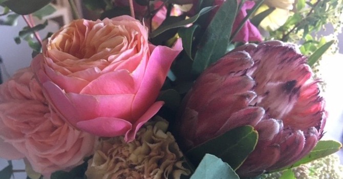 Foto generica d'archivio Foto generica d'archivio