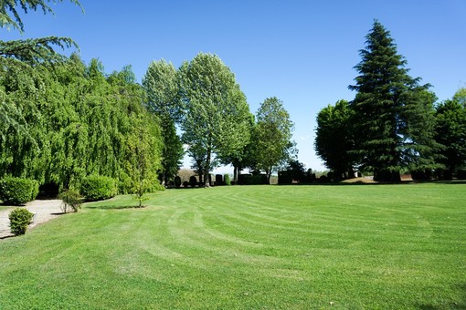 A Pianezza torna "Parco Aperto": solstizio d’estate a Villa Lascaris a misura di bambini e ragazzi A Pianezza torna "Parco Aperto": solstizio d’estate a Villa Lascaris a misura di bambini e ragazzi