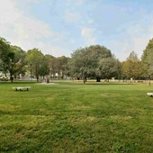 Il parco Dalla Chiesa di Collegno Il parco Dalla Chiesa di Collegno