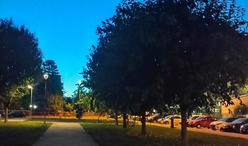 Vandalizzato il parco di Grugliasco dedicato a Falcone e Borsellino Vandalizzato il parco di Grugliasco dedicato a Falcone e Borsellino