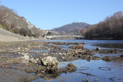 Siccità, il Piemonte avvia le procedure per le richieste dello stato di calamità Siccità, il Piemonte avvia le procedure per le richieste dello stato di calamità