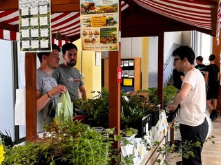 A Pianezza si fa il punto sui lavori al Dalmasso A Pianezza si fa il punto sui lavori al Dalmasso