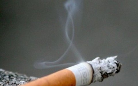 Maxi-blitz della Finanza e Carabinieri, smantellata rete che produceva e contrabbandava sigarette: sequestrati 140 mln