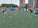 Calcio dilettantistico torinese, bilancio 2024/25: oltre 26mila tesserati e una festa finale da record