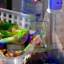 Sostenibilità, dal 12/8 il nuovo Regolamento europeo sugli imballaggi in plastica: cosa cambia Sostenibilità, dal 12/8 il nuovo Regolamento europeo sugli imballaggi in plastica: cosa cambia
