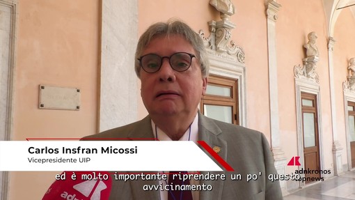 Micossi (Unión Industrial Paraguay): "Nostro Paese molto ricco e confinante con mercati ad alto potenziale commerciale'