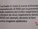 Farmaci: Rsv, Aifa approva anticorpo monoclonale che protegge dal virus respiratorio sinciziale Farmaci: Rsv, Aifa approva anticorpo monoclonale che protegge dal virus respiratorio sinciziale