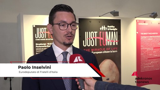 Inselvini (FdI): "All'Europarlamento si difende più le uova degli uccelli che la vita nel grembo"