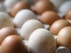 Epidemia di salmonella nel Regno Unito, 1 morto e oltre 200 casi: "Colpa delle uova importate" Epidemia di salmonella nel Regno Unito, 1 morto e oltre 200 casi: "Colpa delle uova importate"