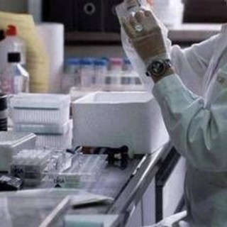 Neoplasie urologiche, Irccs Regina Elena Roma protagonista di 2 studi all'Esmo Neoplasie urologiche, Irccs Regina Elena Roma protagonista di 2 studi all'Esmo