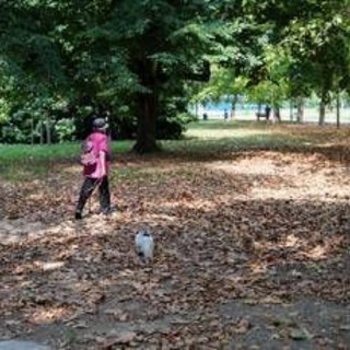 Meteo, torna il sole con l'Anticiclone delle Azzorre ma dura poco: domenica peggiora, le previsioni