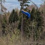 Cade con il parapendio e resta sospesa su un albero a 30 metri da terra Cade con il parapendio e resta sospesa su un albero a 30 metri da terra