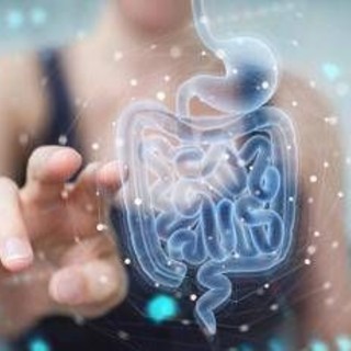 Malattie metaboliche, la svolta arriva dall'intestino: identificato batterio 'protettivo'