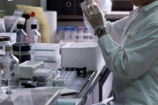 Milano health week, la forza della squadra per ridurre il rischio di recidiva per cancro al seno Milano health week, la forza della squadra per ridurre il rischio di recidiva per cancro al seno