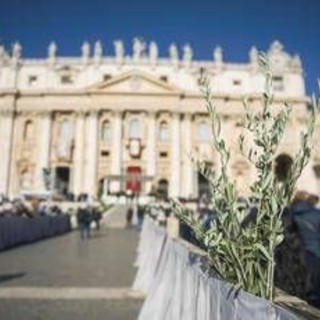 Oggi è la Domenica delle palme, cosa si celebra e perché si usano i rami d'ulivo