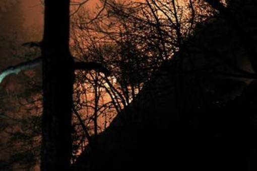 Incendi, Vigili del fuoco al lavoro dal Piemonte al Sud: "Bruciati +15% ettari rispetto a scorso anno"