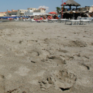 Ostia, si tuffa dal pontile e sbatte la testa: morto un ragazzo