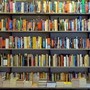 Da 'L'appuntamento' di Pulixi a 'Dottie' del Nobel Gurnah: le novità in libreria Da 'L'appuntamento' di Pulixi a 'Dottie' del Nobel Gurnah: le novità in libreria